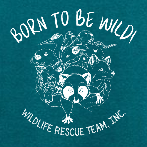 J. America BTB Fleece Crew -- Storm