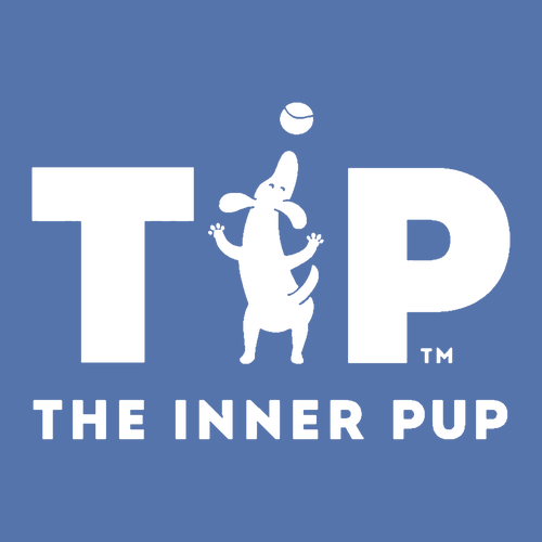 Jerzees 8 oz 50/50 Nublend Adult Hooded Sweatshirt -- Periwinkle Blue