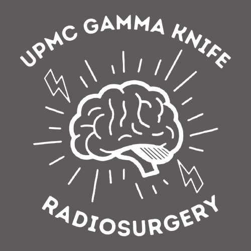 Gildan Softstyle Longsleeve T Shirt -- Charcoal