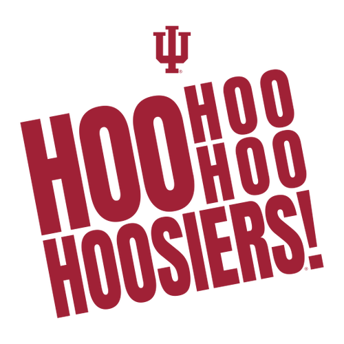 Gildan Heavy Cotton Ladies' V-Neck Tee -- White