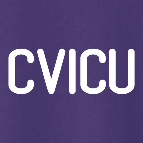 Gildan Ultra Cotton Longsleeve Basic T-Shirt -- Purple