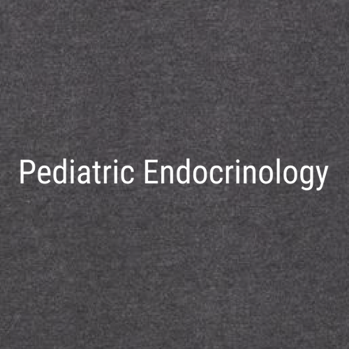 Charles River Womens Heathered Fleece Pullover -- Charcoal Heather