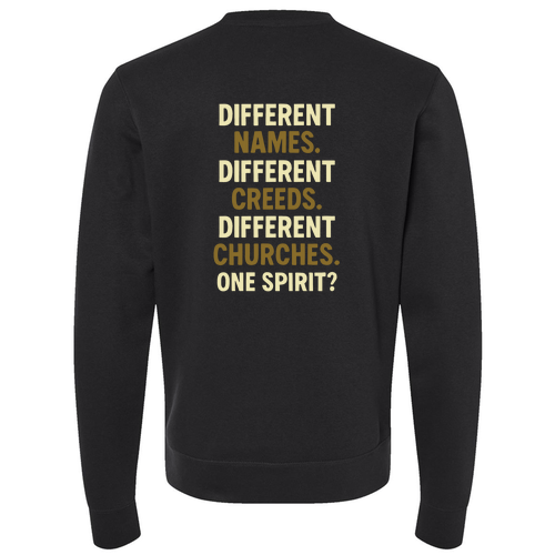 Divided Crewneck Sweater -- Black