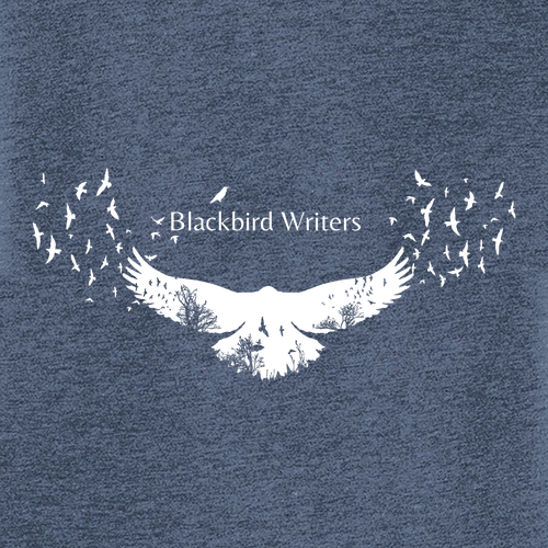 District Made Ladies Perfect Tri V-Neck Tee -- Navy Frost