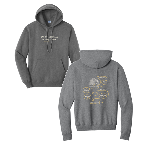 Port and Company Core Fleece Pullover Hooded Sweatshirt -- Graphite Heather