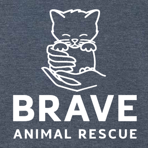 Brave Long Sleeve Tee -- Heather Navy