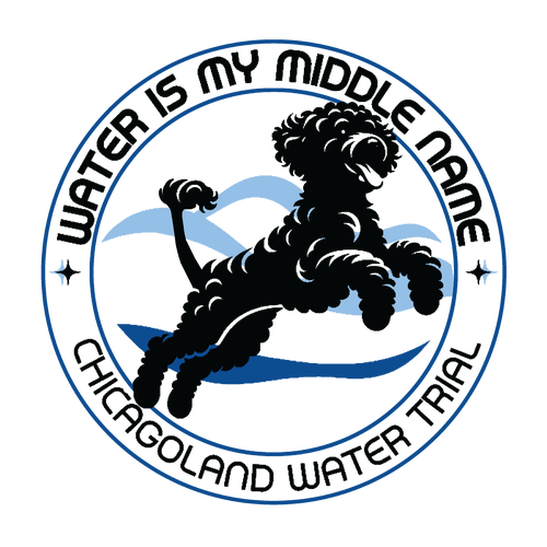 Gildan DryBlend 50/50 T-Shirt -- White