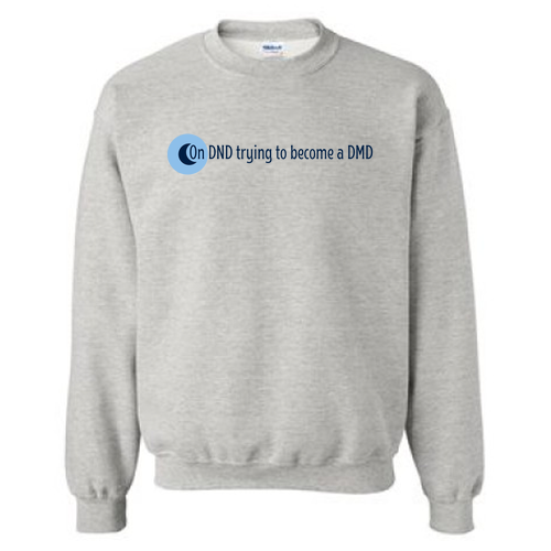 Crew Neck Sweatshirt -- Ash