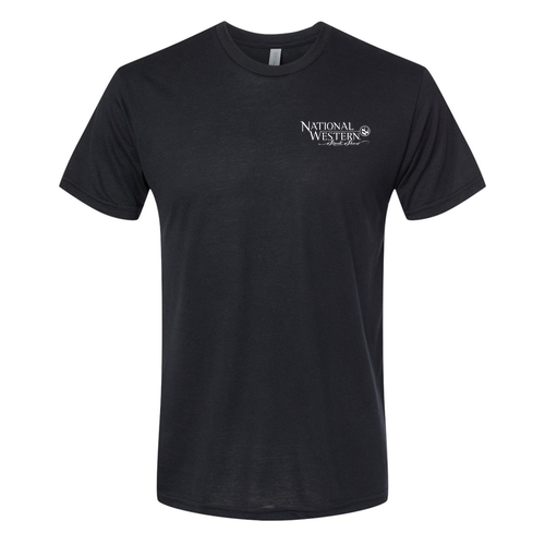 Next Level Mens TriBlend Tee -- Black