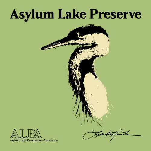 Gildan SoftStyle T-Shirt -- Kiwi