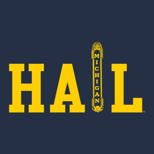 Bella Canvas Soft Sponge Fleece Hoodie -- Navy, Theater Marquee