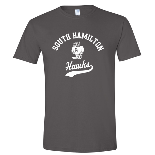 Gildan SoftStyle T-Shirt -- Heather Charcoal