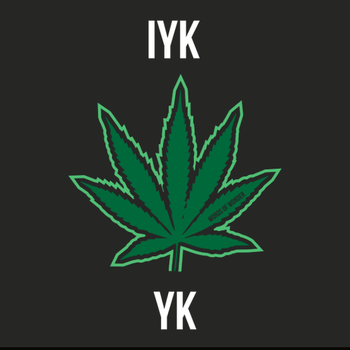 IYKYK Ladies T-Shirt -- Black