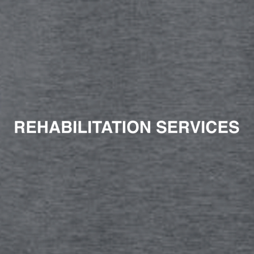 Gildan SoftStyle T-Shirt -- Dark Heather