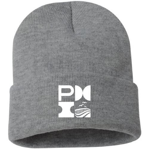 Sportsman Solid 12" Cuffed Beanie -- Dark Heather Gray