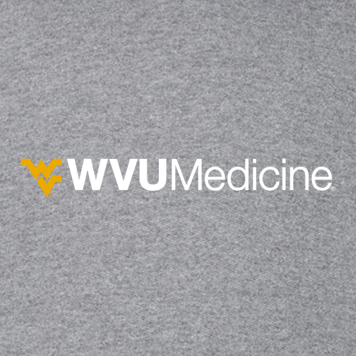 Gildan Heavy Cotton Longsleeve Basic T-Shirt -- Graphite Heather