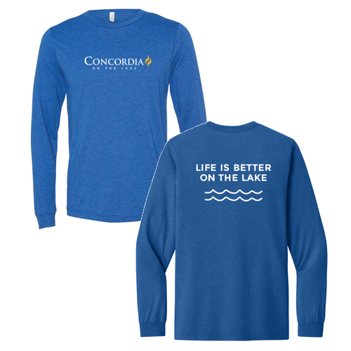 Bella+Canvas Unisex Triblend Long Sleeve Tee -- True Royal TriBlend