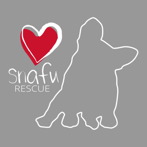 District Made Mens Perfect Tri Raglan -- Grey Frost / Royal Frost