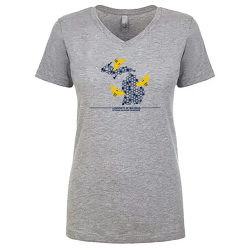 Ladies Next Level Ideal V-Neck Tee -- Heather Grey