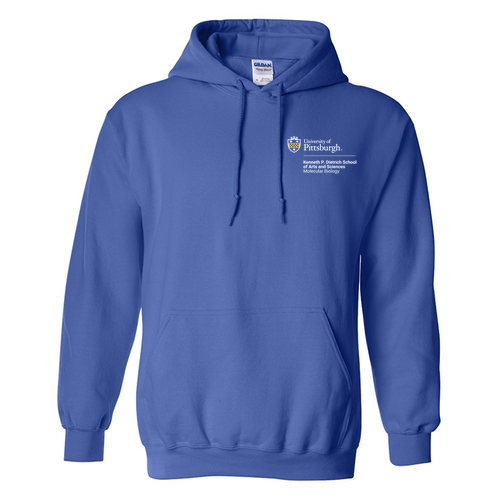 Molecular Biology Gildan Heavy Blend Hooded Sweatshirt -- Royal