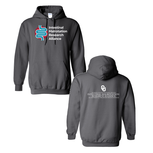 Gildan Heavy Blend Hooded Sweatshirt -- Charcoal