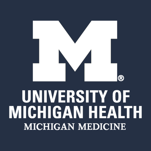 Ladies Gildan Soft Fashion Fit T-Shirt -- Navy