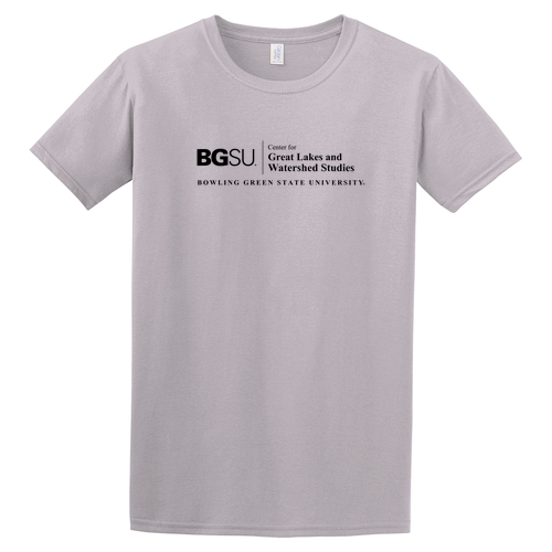 Gildan SoftStyle T-Shirt -- Ice Grey