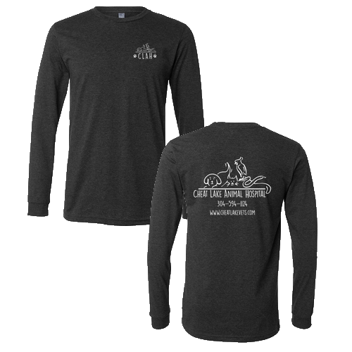 Bella+Canvas Unisex Heather Cvc Long Sleeve Tee- Heathers -- Dark Grey Heather