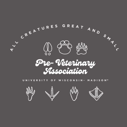 Gildan Heavy Blend Hooded Sweatshirt -- Charcoal