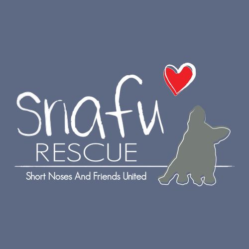 Comfort Colors Adult Long Sleeve Pocket Tee -- Denim