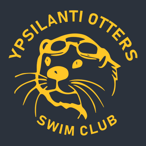 Ypsi Otters Classic Logo District Youth Perfect Triblend Tee -- New Navy