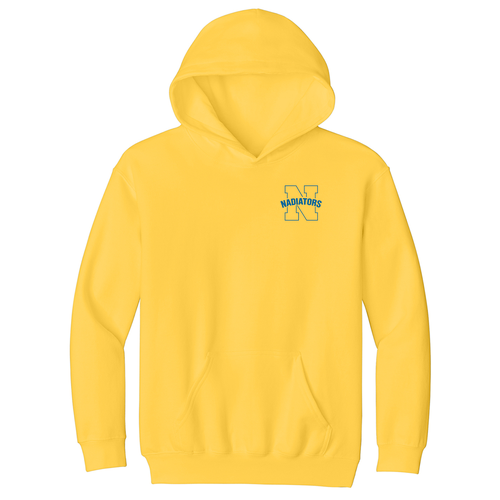 Gildan Youth Softstyle Midweight Fleece Hooded Sweatshirt -- Daisy