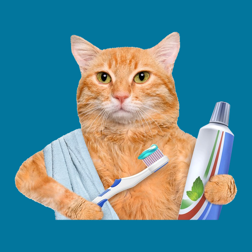 Hanes Authentic Short Sleeve T-Shirt -- Teal