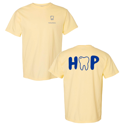 Comfort Colors Ringspun Garment Dyed T Shirt -- Banana