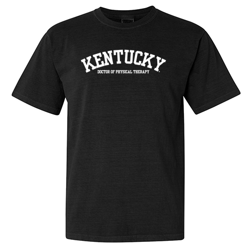 Comfort Colors Ringspun Garment Dyed T Shirt -- Black