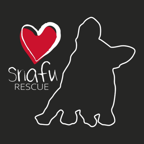 District Women's Perfect Tri Muscle Tank -- Black