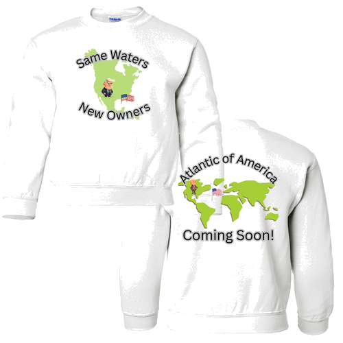 Gildan Heavy Blend Youth Crew Neck Sweatshirt -- White