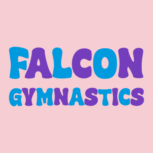 Gymnast Era T-Shirt -- Light Pink