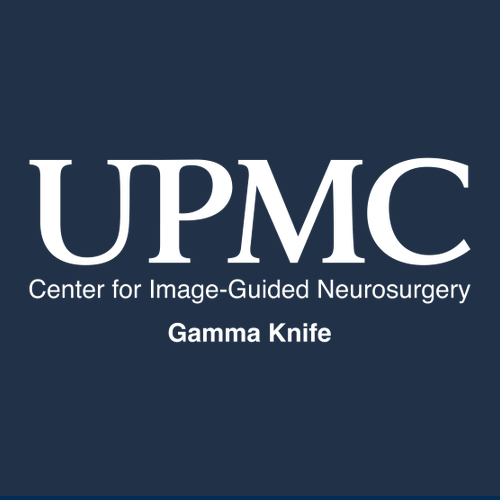 Gildan Softstyle Longsleeve T Shirt -- Navy