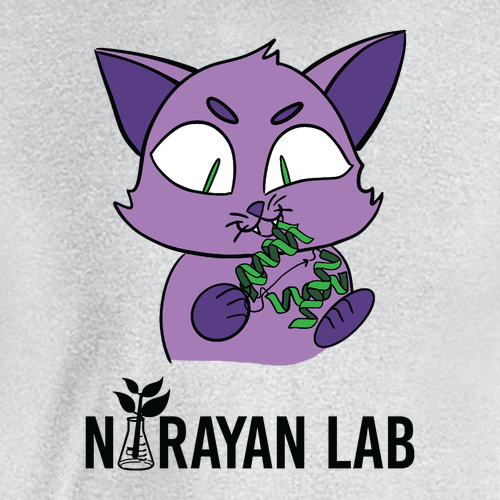 Catnip T-Shirt -- Sport Grey