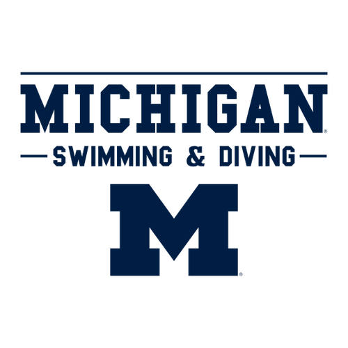 Ladies District Women's The Concert Tee V-Neck -- White