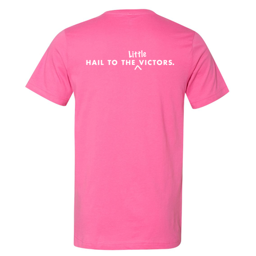 Mens/Unisex Bella Canvas Soft Fitted Jersey T-Shirt -- Charity Pink