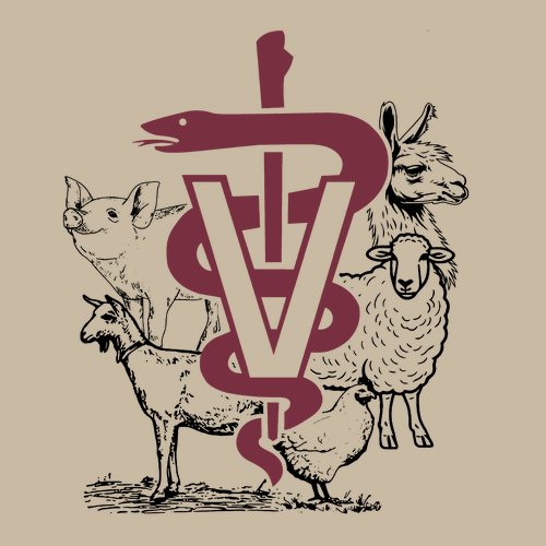 Gildan Heavy Cotton Basic T-Shirt -- Sand