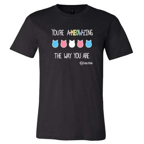 Bella Canvas Unisex Jersey T-Shirt -- Black