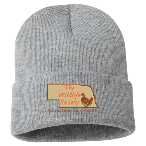 Nebraska Chapter Beanie