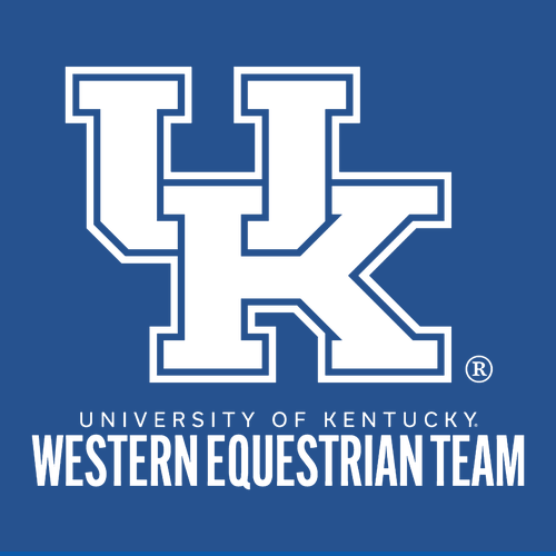 Gildan Heavy Blend Hooded Sweatshirt -- Royal