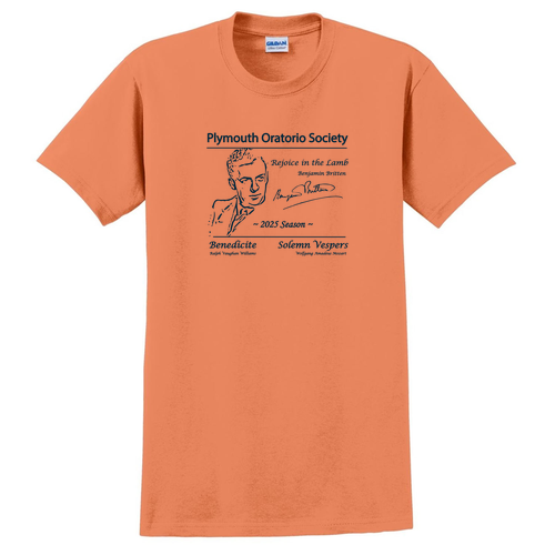 Gildan Ultra Cotton Basic T-Shirt -- Tangerine