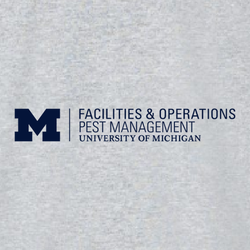 Gildan Ultra Cotton Ladies Basic T-Shirt -- Sport Grey, $10