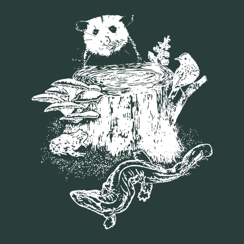 Gildan Heavy Cotton Longsleeve Basic T-Shirt -- Forest Green