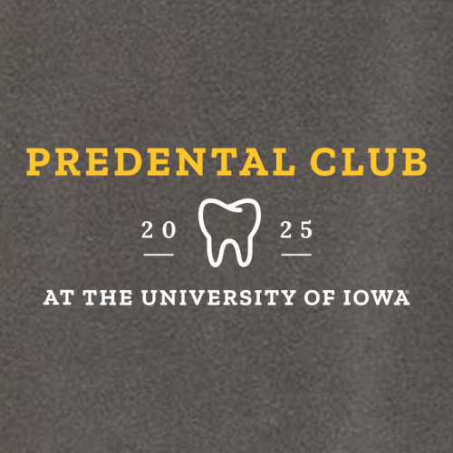 Comfort Color Lady's Heavyweight Boxy Tee -- Pepper